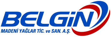 BELGİN